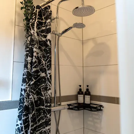 Cozy By Interior 카셀