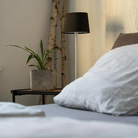 Apartament Interior - Service In Bahnhofsnaehe Und Unesco-bergpark Mit Parkplatzmoeglichkeit, Ebk, Kinderfreundlich,
